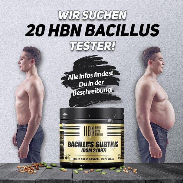 Die Blähbauch Studie – HBN Bacillus Subtilis DSM 21097 im Test